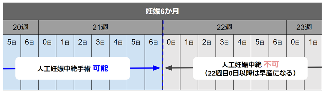 人工妊娠中絶：可能の週/不可の週